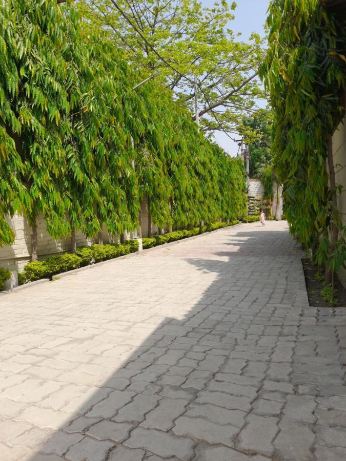 Ashoka Resort & Banquets Begusarai المظهر الخارجي الصورة